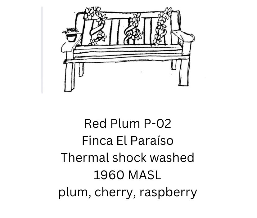 Red Plum P-02 - Finca el Paraíso